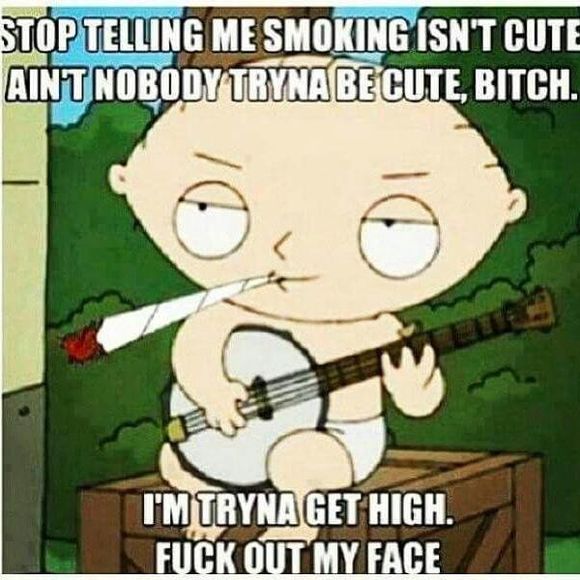 Meet your Posher, Irvin - Picture 1 of 1